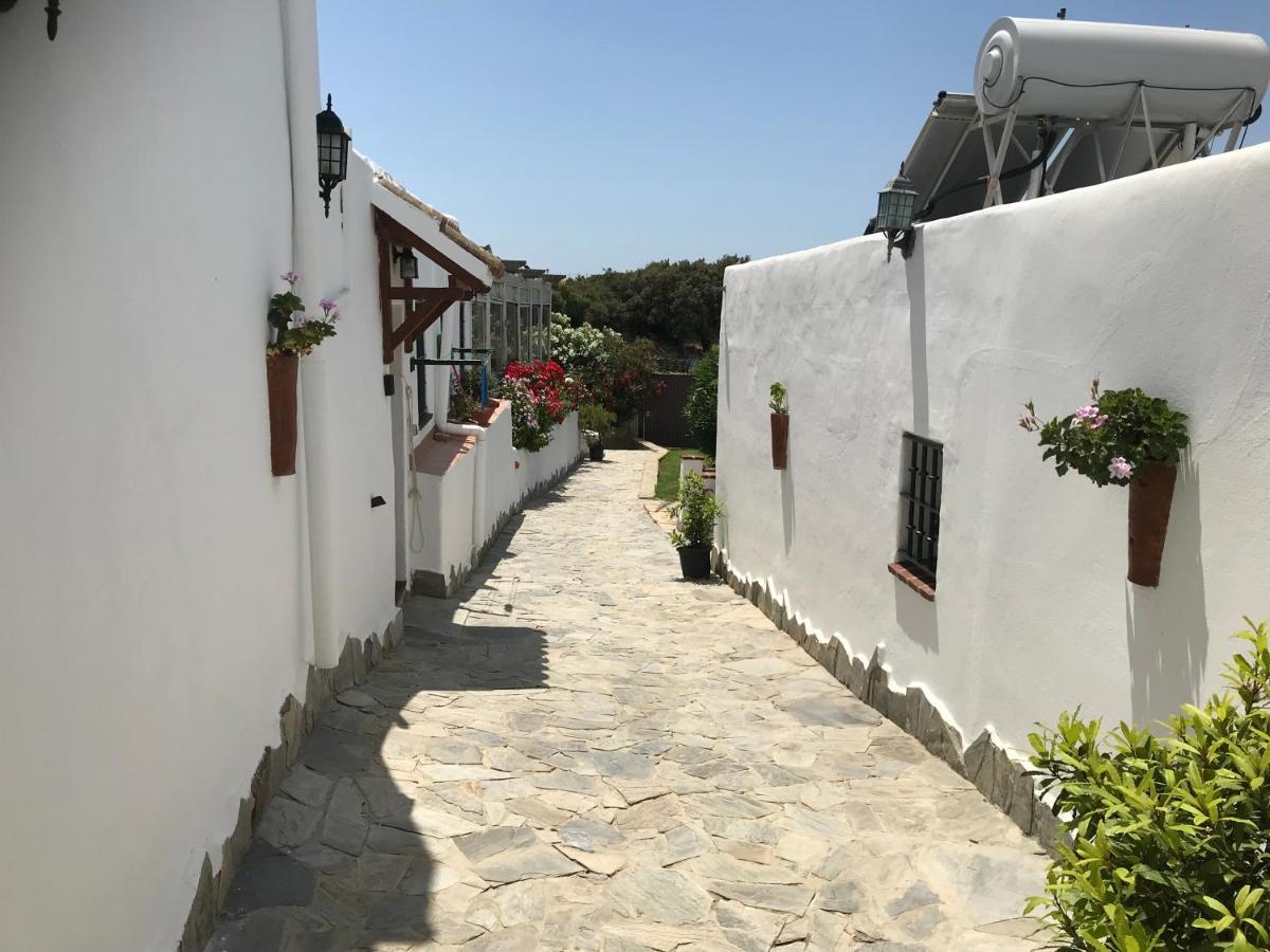 Casas El Molino Villa Vejer de la Frontera Dış mekan fotoğraf