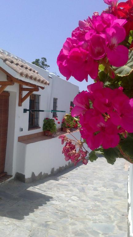 Casas El Molino Villa Vejer de la Frontera Oda fotoğraf