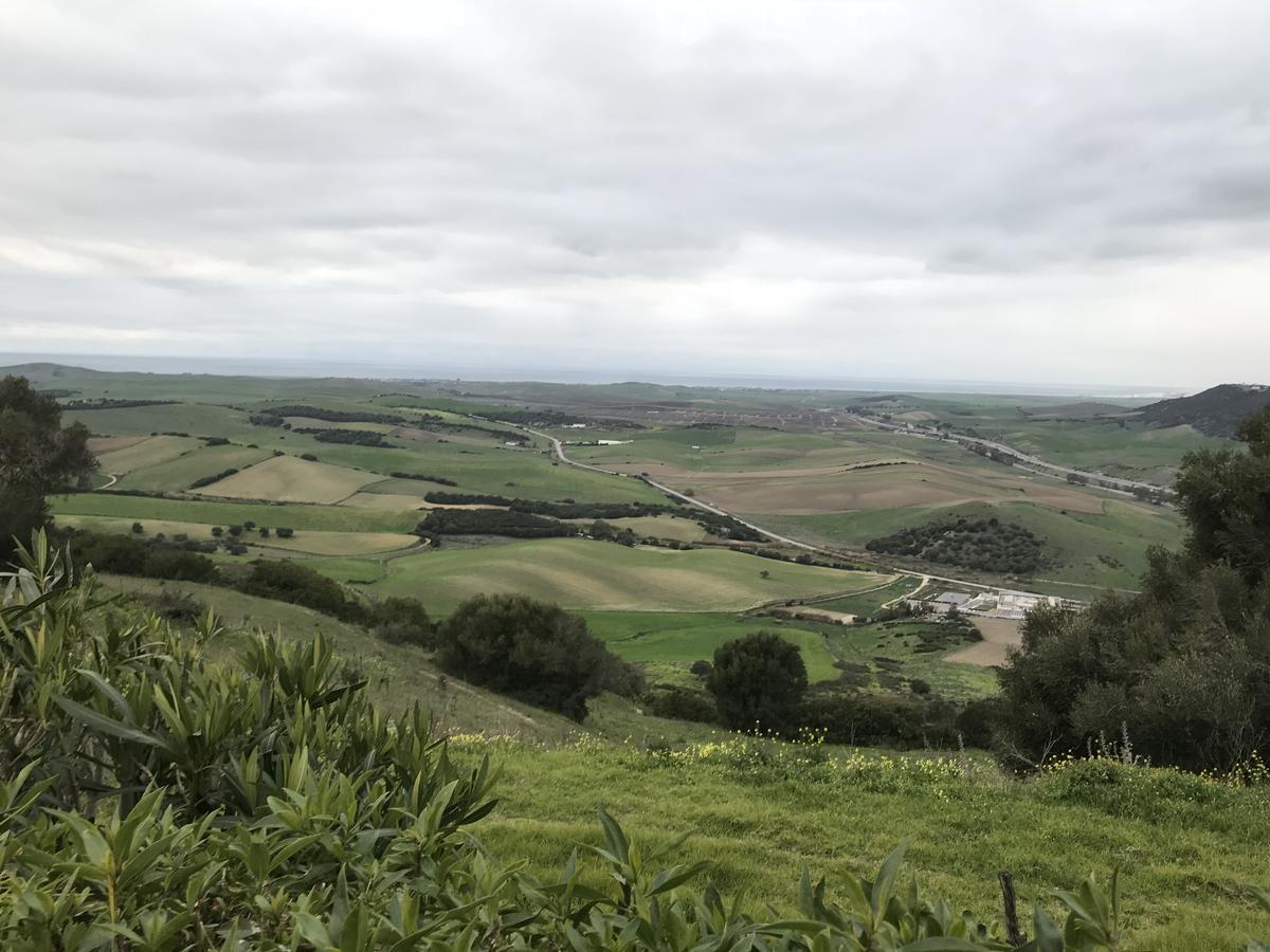 Casas El Molino Villa Vejer de la Frontera Dış mekan fotoğraf