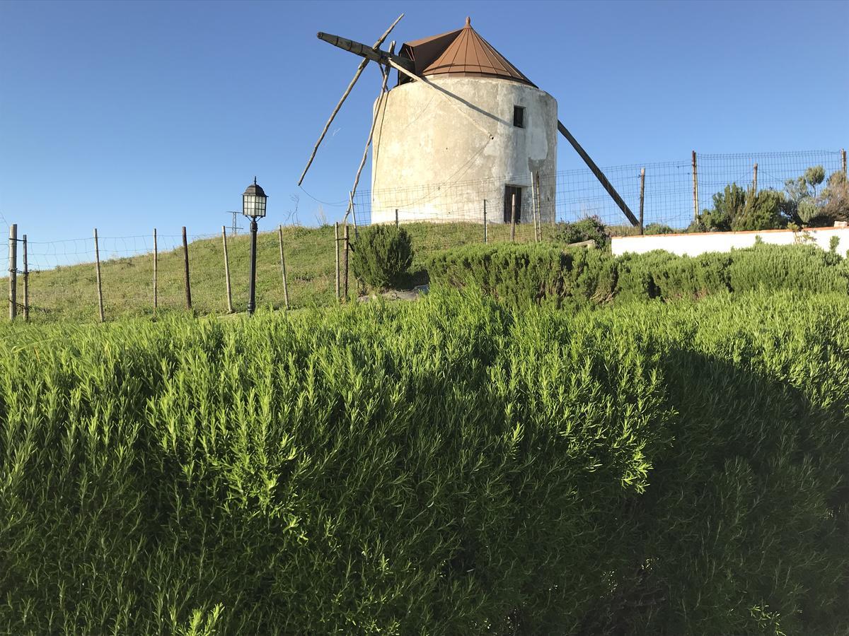 Casas El Molino Villa Vejer de la Frontera Dış mekan fotoğraf